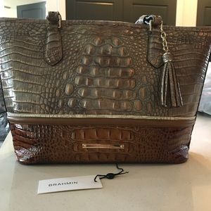 Brahmin Medium Asher